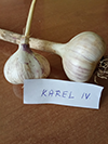 KAREL IV