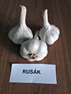 rusak